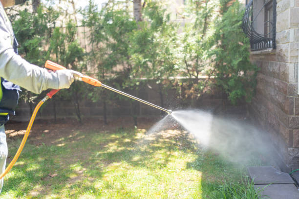 Best Wasp Removal Services  in Zion, PA