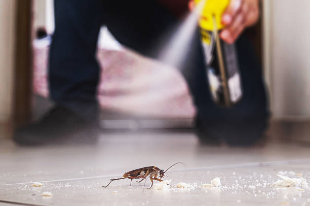 Best Flea Control Services  in Zion, PA